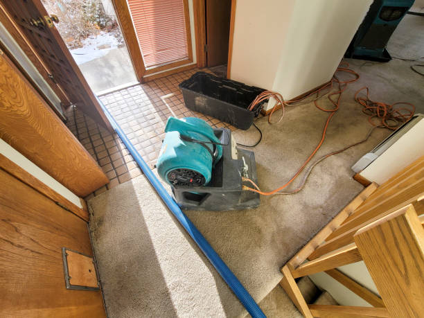 Best Water damage restoration services  in USA